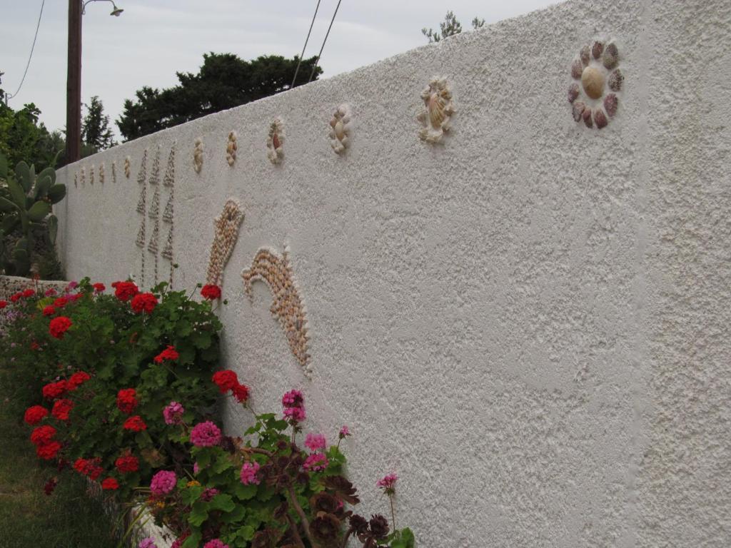 Saint Amon Hotel Faliraki Extérieur photo
